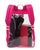 Clear Pass Daypack